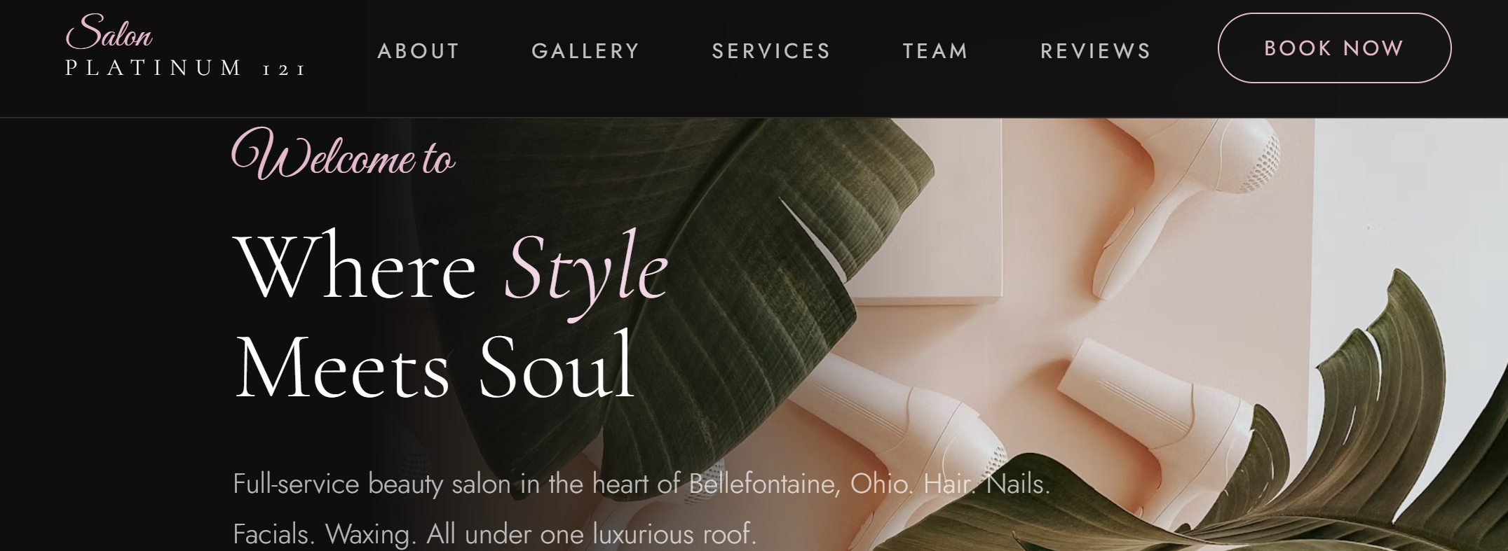 Salon Platinum 121 homepage with salon branding, navigation, and appointment call to action.